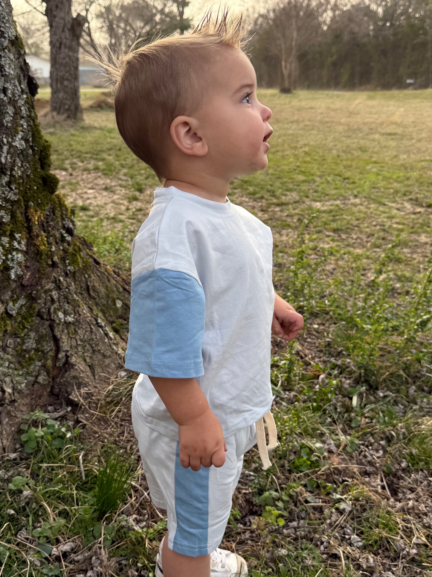 Blue Color Block Short Set